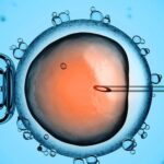 متى يثبت الحمل بعد الحقن المجهري