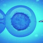 العوامل المؤثرة على نجاح الحقن المجهري