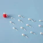 مواصفات السائل المنوي لحدوث الحمل