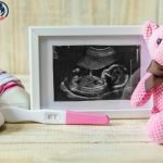 اليوم العاشر من ترجيع الاجنة