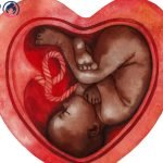 اليوم السابع من ترجيع الاجنة