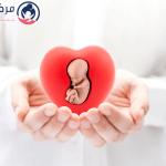 اليوم السادس من ترجيع الاجنة