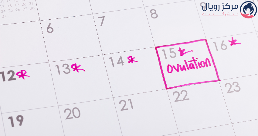 متى يحدث التبويض بعد الإجهاض